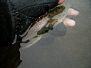2007-05-01 038.JPG